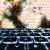 Cloud Computing Empowers Scalable, Flexible Workforces